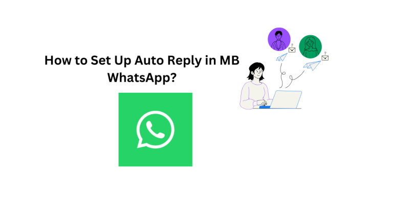 How to Set Up Auto Reply in MB WhatsApp?